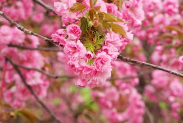 金华东阳1线下个人借款平台一站式服务，轻松解决资金难题