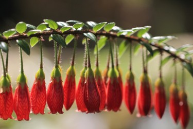 金华东阳1零用贷短借：轻松解决临时资金需求