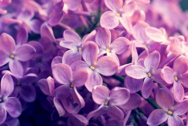 金华东阳1企业急用钱贷款攻略：快速融资解燃眉之急